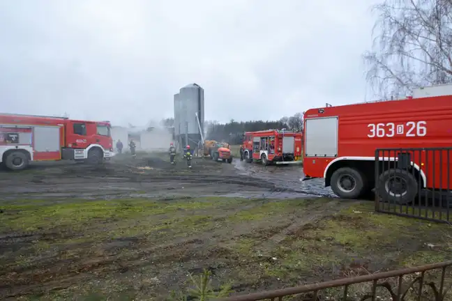 Bolec.Info - zdjęcie