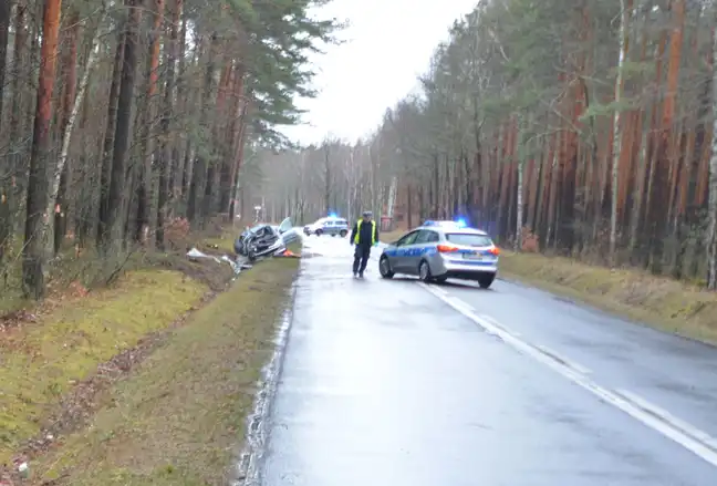 Bolec.Info - zdjęcie