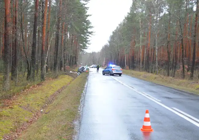 Bolec.Info - zdjęcie