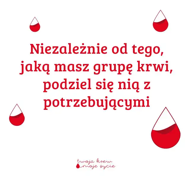 Bolec.Info - zdjęcie