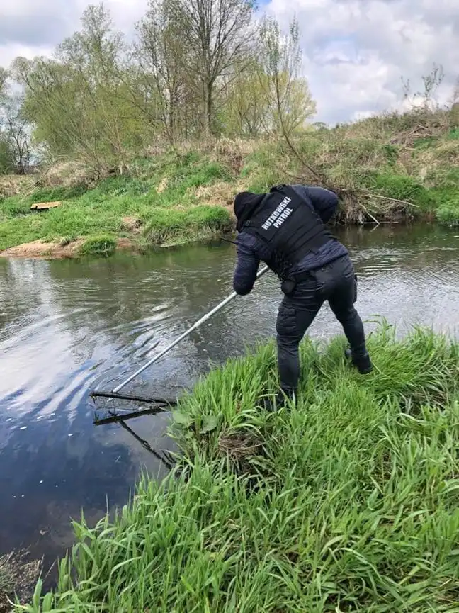 Bolec.Info - zdjęcie