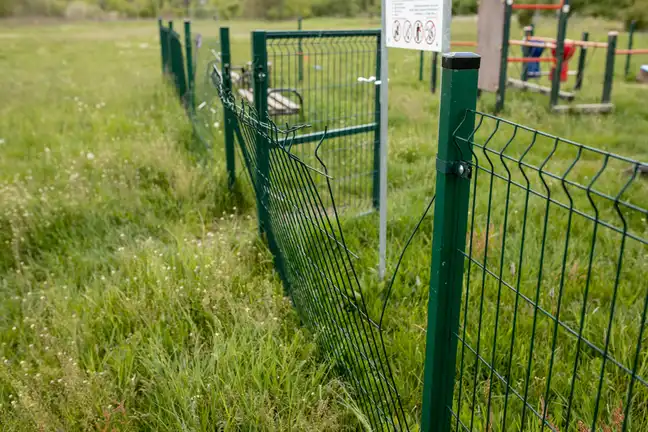 Bolec.Info - zdjęcie