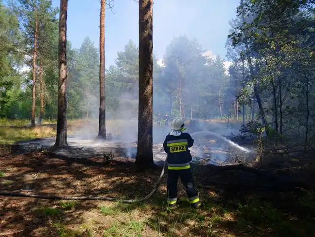 Bolec.Info - zdjęcie