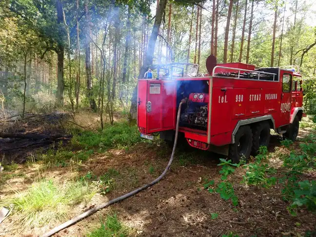 Bolec.Info - zdjęcie