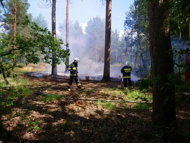 Bolec.Info - zdjęcie