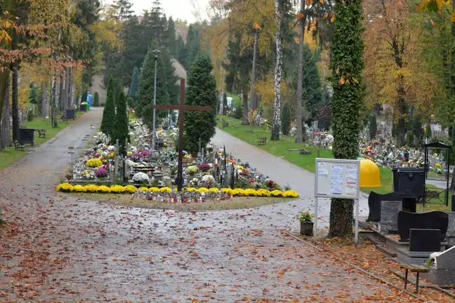 Bolec.Info - zdjęcie