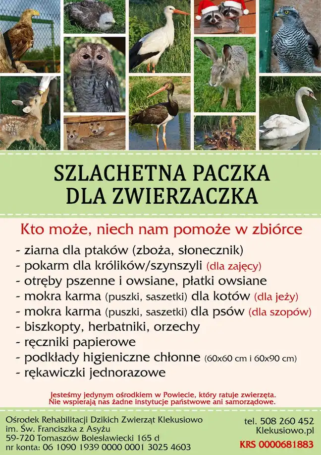 Bolec.Info - zdjęcie