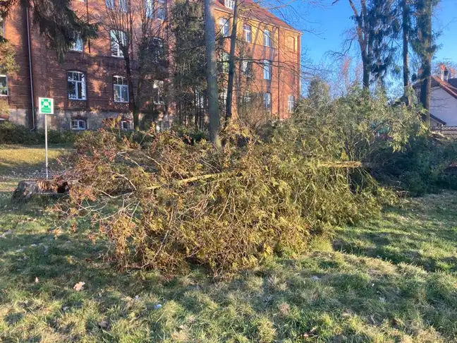 Bolec.Info - zdjęcie