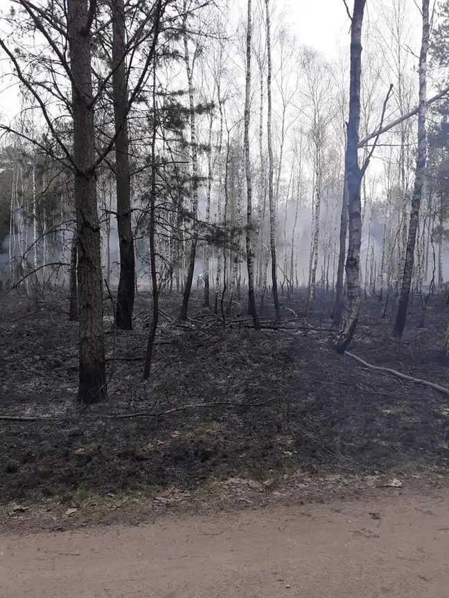 Bolec.Info - zdjęcie