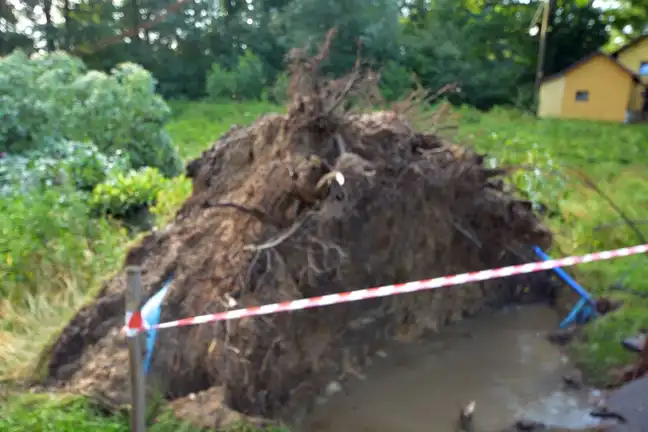 Bolec.Info - zdjęcie