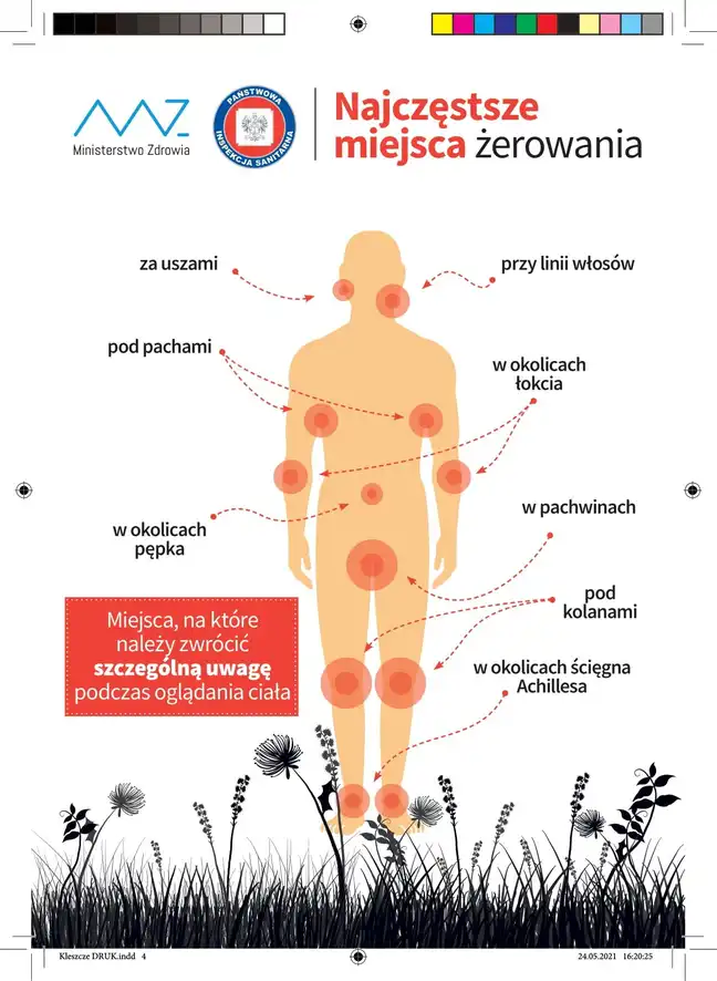 Bolec.Info - zdjęcie