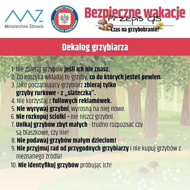 Bolec.Info - zdjęcie