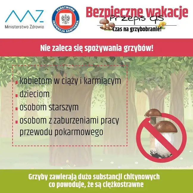 Bolec.Info - zdjęcie