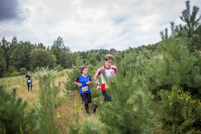 Bolec.Info - zdjęcie