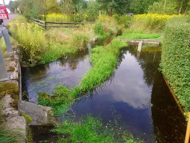 Bolec.Info - zdjęcie