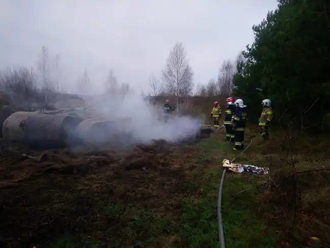 Bolec.Info - zdjęcie