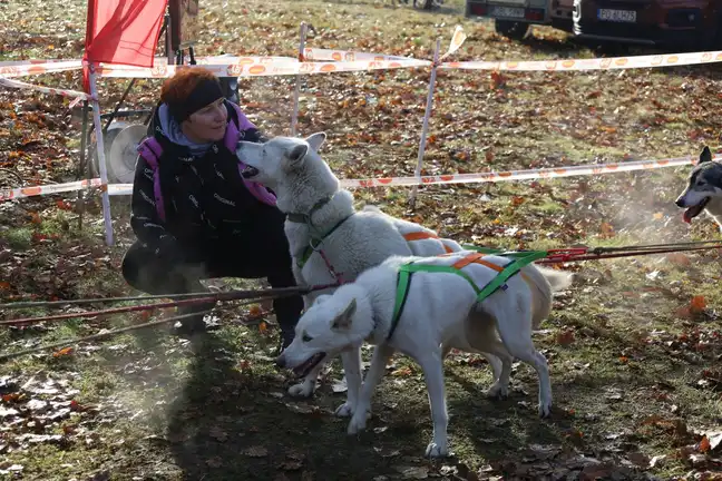 Bolec.Info - zdjęcie