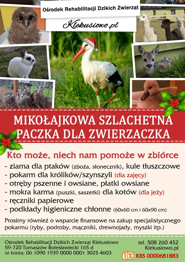 Bolec.Info - zdjęcie