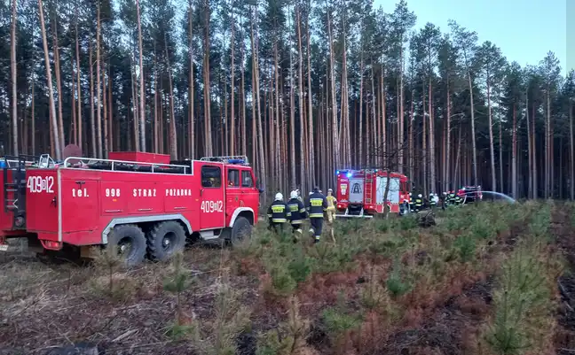 Bolec.Info - zdjęcie