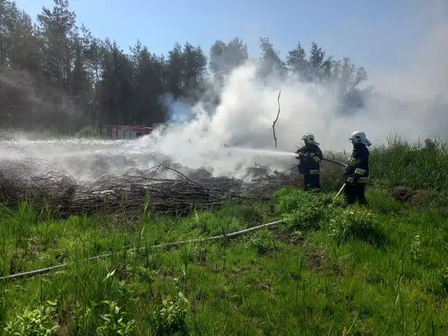 Bolec.Info - zdjęcie