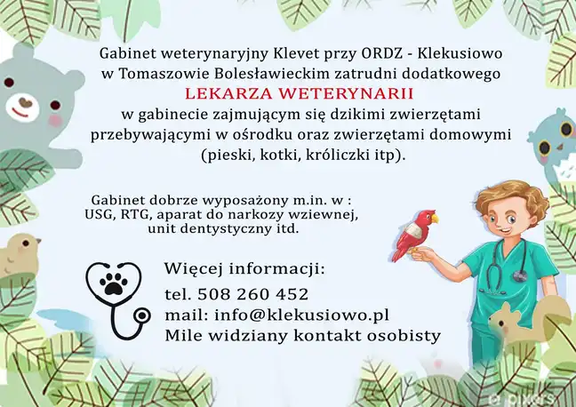 Bolec.Info - zdjęcie