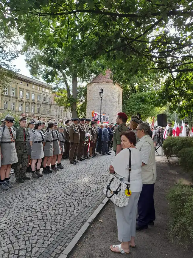 Bolec.Info - zdjęcie