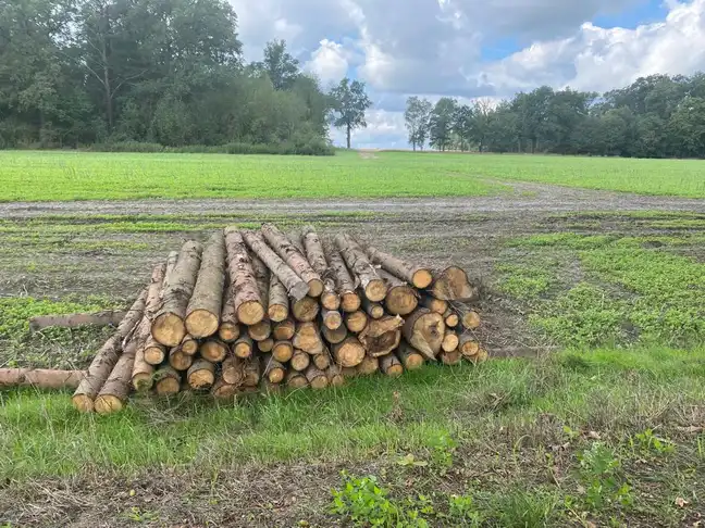 Bolec.Info - zdjęcie