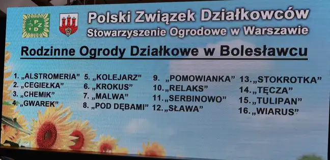 Bolec.Info - zdjęcie