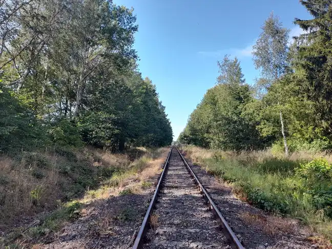 Bolec.Info - zdjęcie