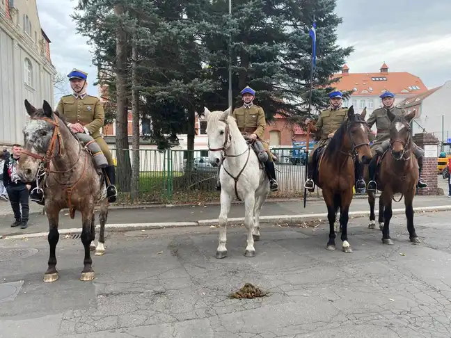 Bolec.Info - zdjęcie