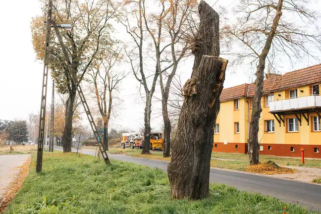 Bolec.Info - zdjęcie