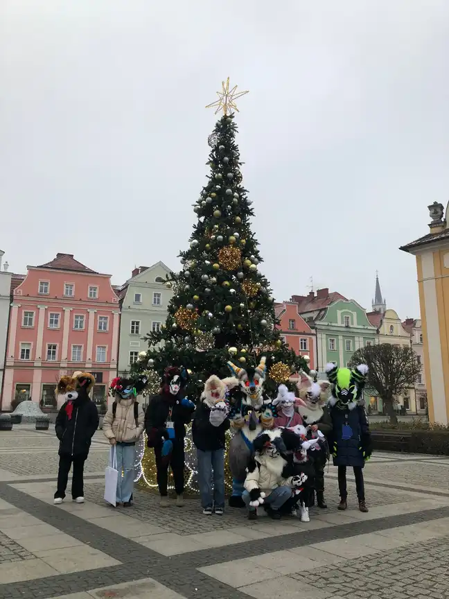 Bolec.Info - zdjęcie