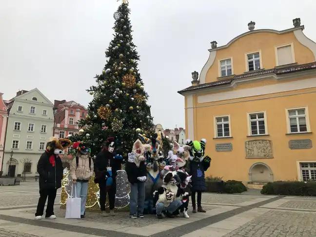 Bolec.Info - zdjęcie