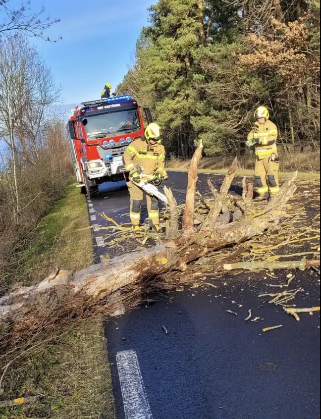 Bolec.Info - zdjęcie