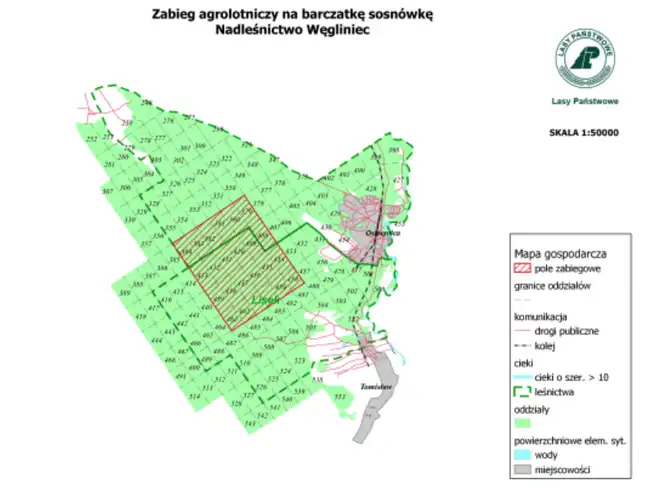 Bolec.Info - zdjęcie