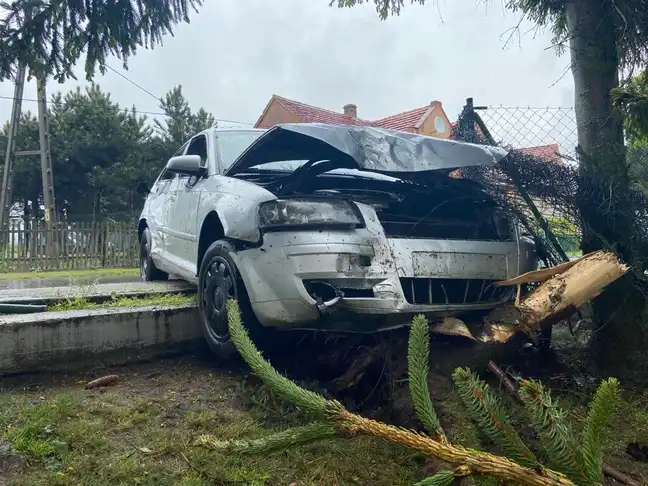 Bolec.Info - zdjęcie