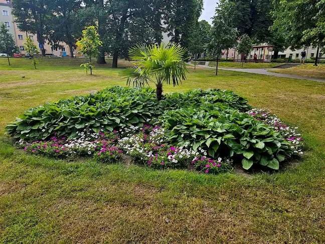 Bolec.Info - zdjęcie