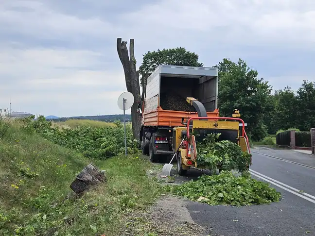 Bolec.Info - zdjęcie