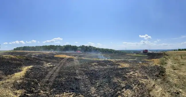 Bolec.Info - zdjęcie