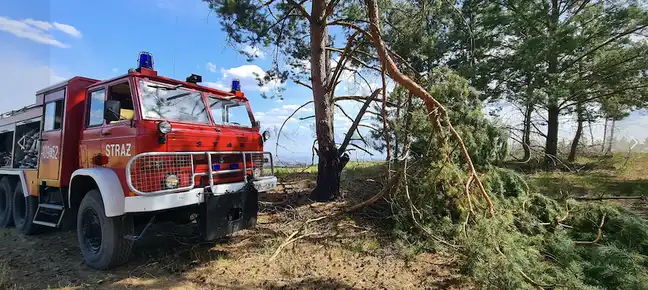 Bolec.Info - zdjęcie