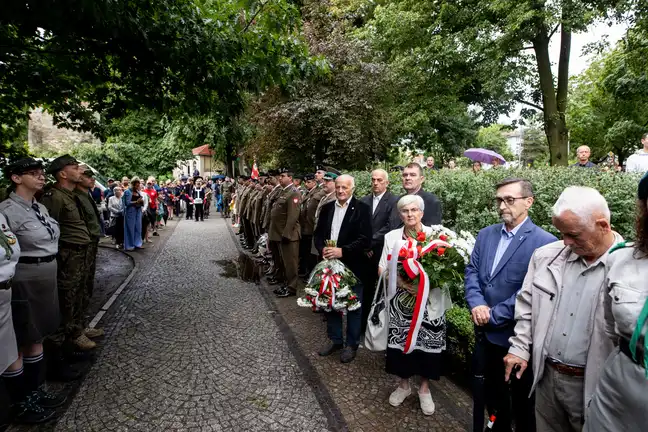 Bolec.Info - zdjęcie