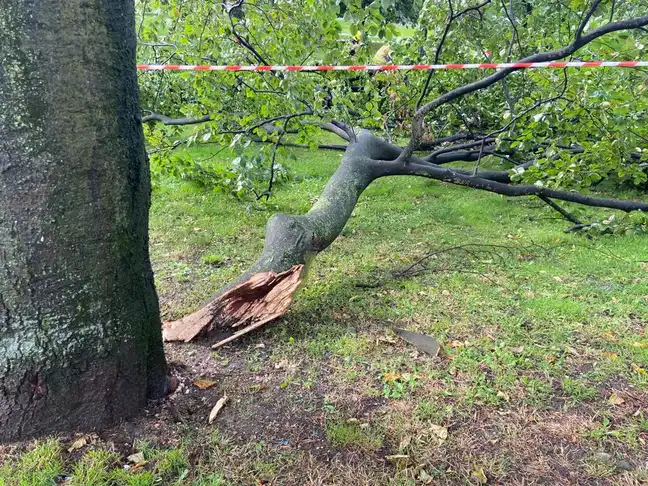 Bolec.Info - zdjęcie