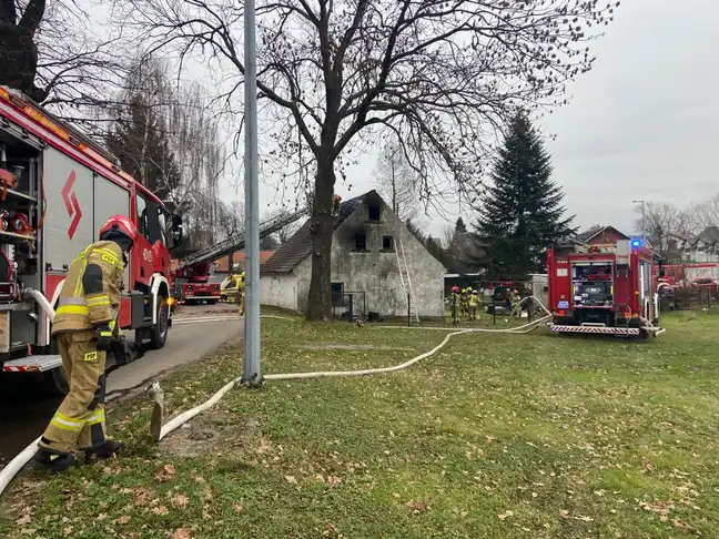 Bolec.Info - zdjęcie