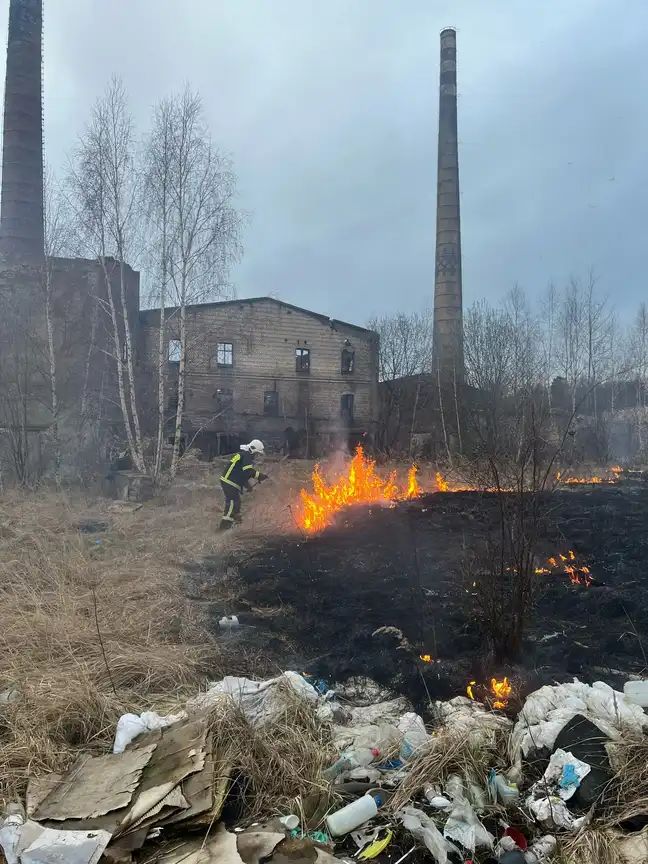 Bolec.Info - zdjęcie