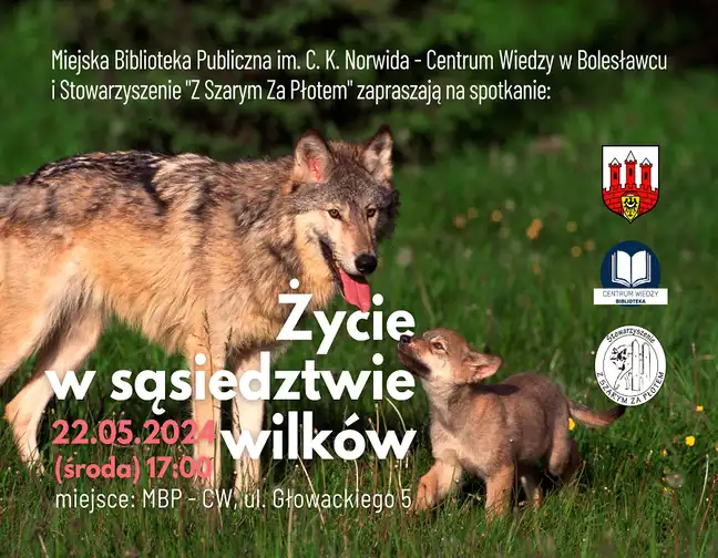 Bolec.Info - zdjęcie