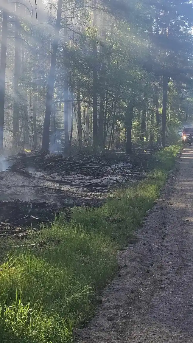 Bolec.Info - zdjęcie