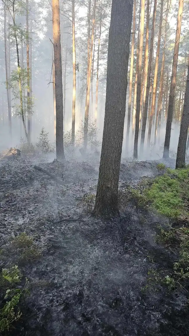 Bolec.Info - zdjęcie