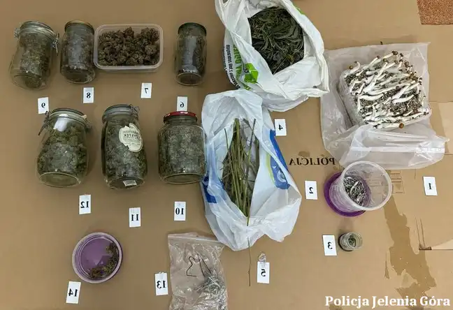 Bolec.Info - zdjęcie