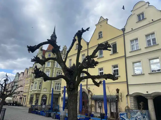 Bolec.Info - zdjęcie
