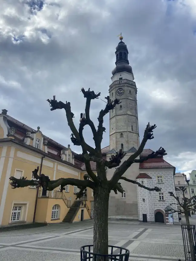 Bolec.Info - zdjęcie